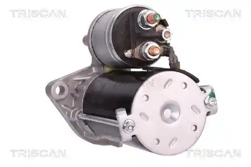 TRISCAN 8305 10029