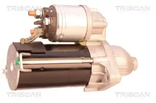 TRISCAN 8305 10029