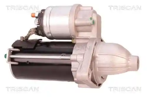 TRISCAN 8305 10029