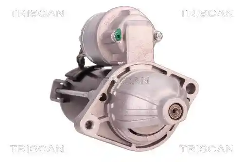 TRISCAN 8305 10029