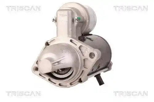 TRISCAN 8305 10031