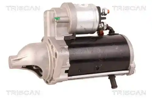 TRISCAN 8305 10031