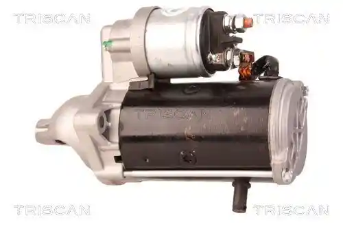 TRISCAN 8305 10031