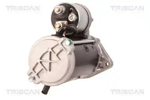 TRISCAN 8305 10031