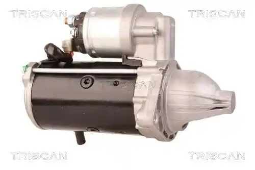 TRISCAN 8305 10031