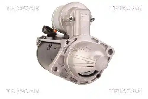 TRISCAN 8305 10031