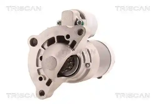 TRISCAN 8305 10038 TRISCAN 8305 10038