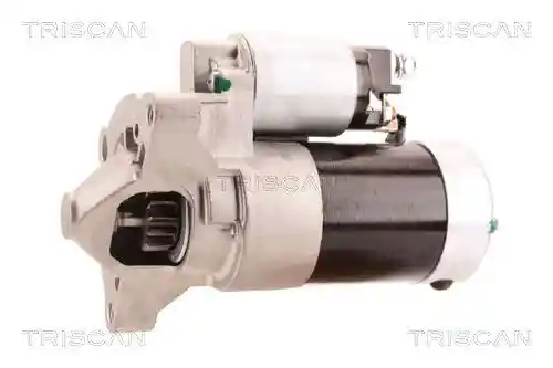 TRISCAN 8305 10038 TRISCAN 8305 10038