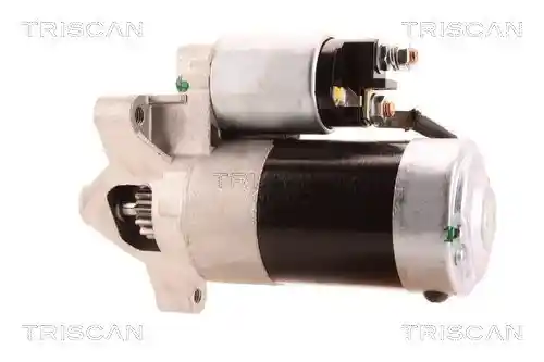 TRISCAN 8305 10038 TRISCAN 8305 10038