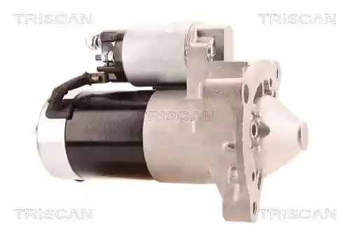 TRISCAN 8305 10038 TRISCAN 8305 10038