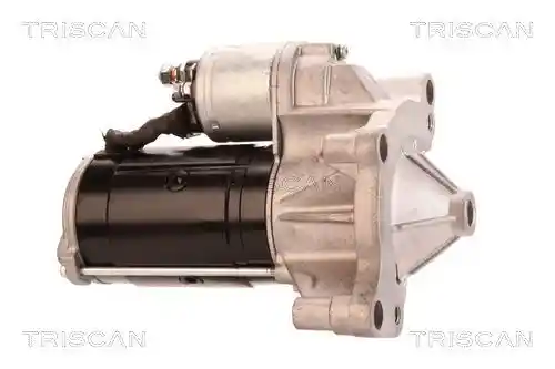 TRISCAN 8305 10039 TRISCAN 8305 10039
