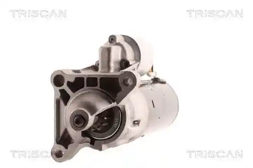 TRISCAN 8305 10053 TRISCAN 8305 10053