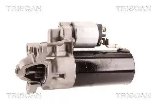 TRISCAN 8305 10053 TRISCAN 8305 10053