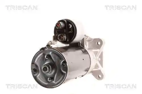 TRISCAN 8305 10053 TRISCAN 8305 10053