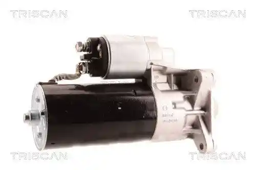 TRISCAN 8305 10053 TRISCAN 8305 10053