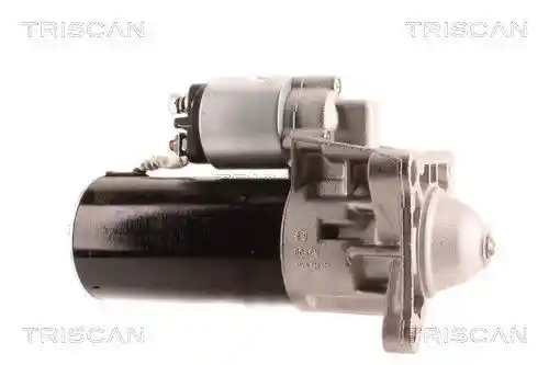 TRISCAN 8305 10053 TRISCAN 8305 10053