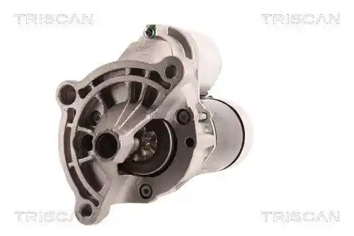 TRISCAN 8305 10054 TRISCAN 8305 10054