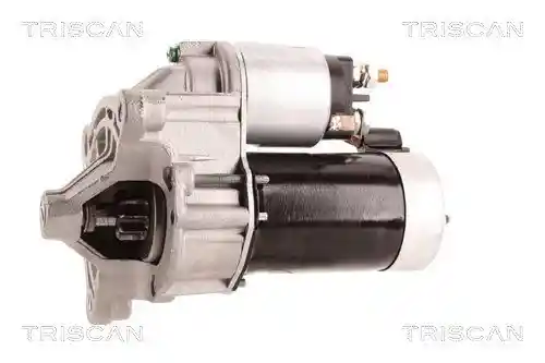 TRISCAN 8305 10054 TRISCAN 8305 10054