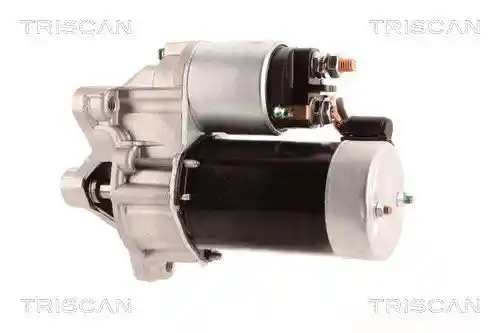 TRISCAN 8305 10054 TRISCAN 8305 10054