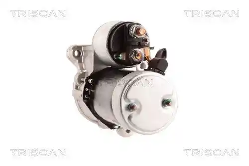 TRISCAN 8305 10054 TRISCAN 8305 10054