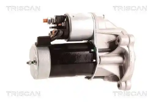TRISCAN 8305 10054 TRISCAN 8305 10054