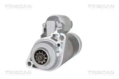 TRISCAN 8305 10061