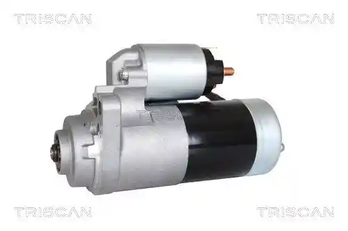 TRISCAN 8305 10061
