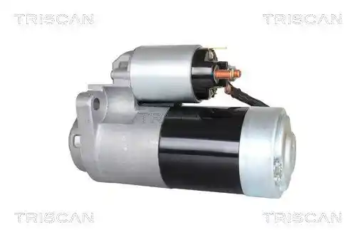 TRISCAN 8305 10061