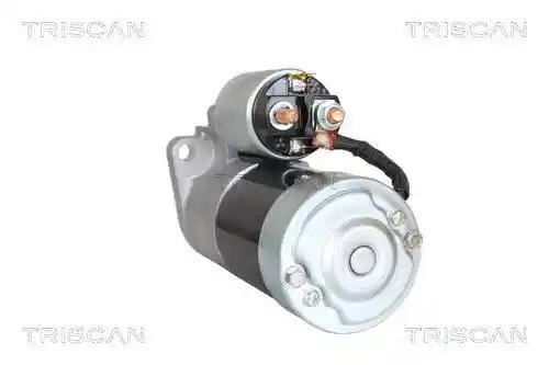 TRISCAN 8305 10061