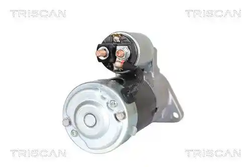 TRISCAN 8305 10061