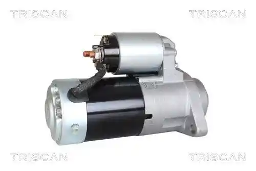 TRISCAN 8305 10061