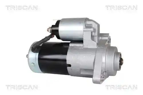 TRISCAN 8305 10061