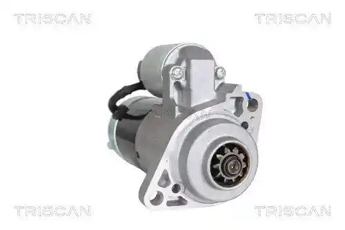 TRISCAN 8305 10061