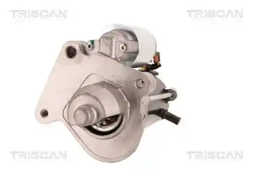 TRISCAN 8305 10091