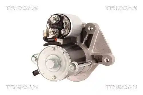 TRISCAN 8305 10091