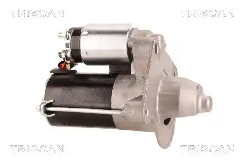 TRISCAN 8305 10091