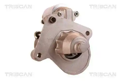 TRISCAN 8305 10093 TRISCAN 8305 10093