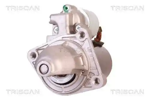 TRISCAN 8305 10095