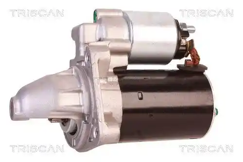 TRISCAN 8305 10095