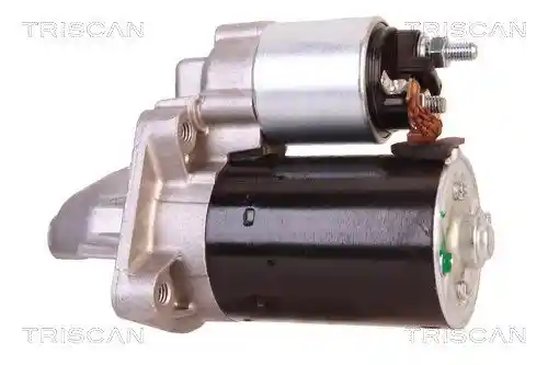 TRISCAN 8305 10095