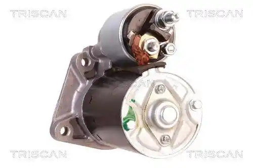 TRISCAN 8305 10095