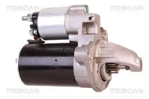 TRISCAN 8305 10095