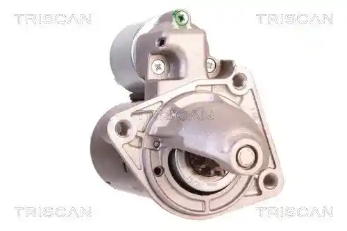 TRISCAN 8305 10095