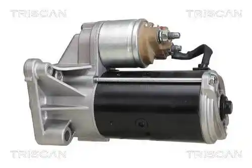 TRISCAN 8305 10116