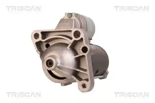 TRISCAN 8305 10117