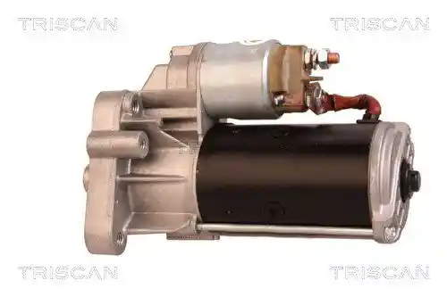 TRISCAN 8305 10117