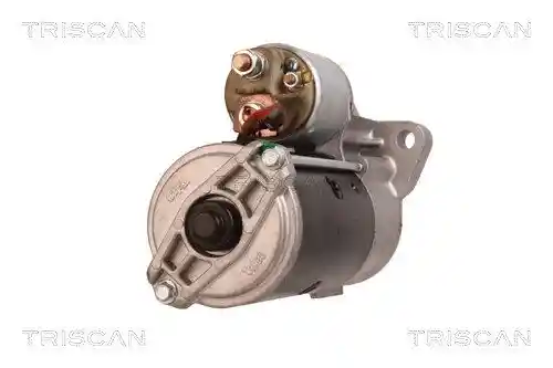 TRISCAN 8305 10117