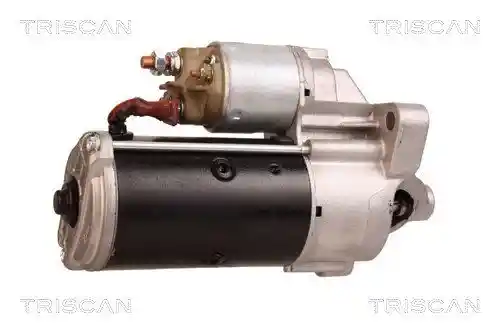 TRISCAN 8305 10117