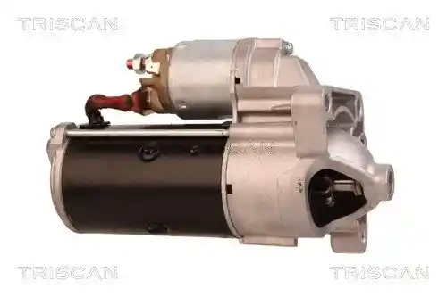 TRISCAN 8305 10117