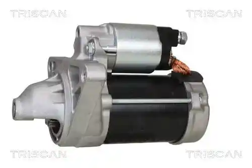 TRISCAN 8305 10131
